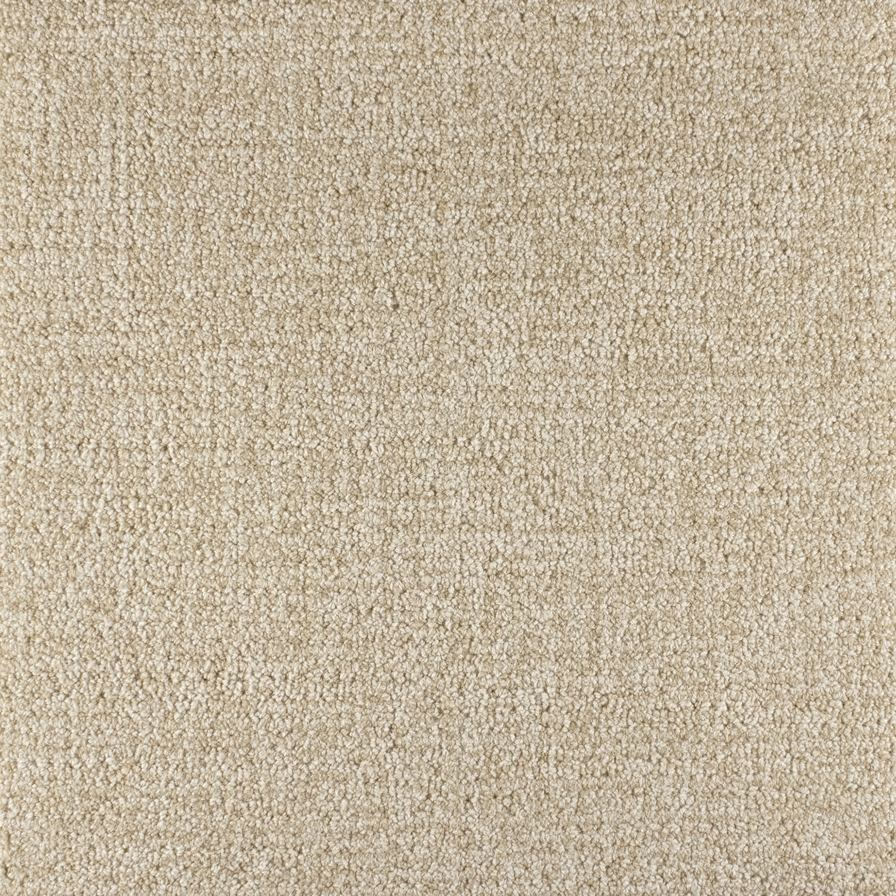 (QS) GR Focus B4 Sample | 18" x 18"
